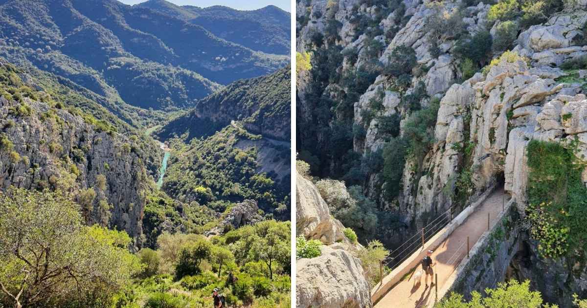 Read more about the article Life on the road in Spain: a Belgian couple’s campervan adventures