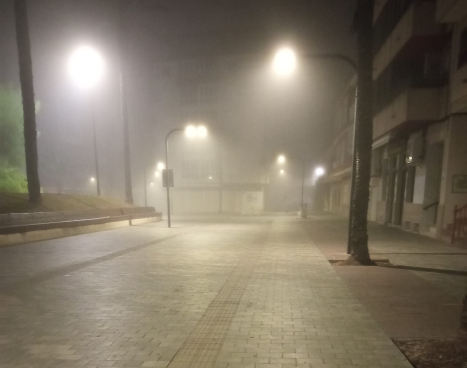 Read more about the article Mist and humidity mark the start of September in the Vega Baja region